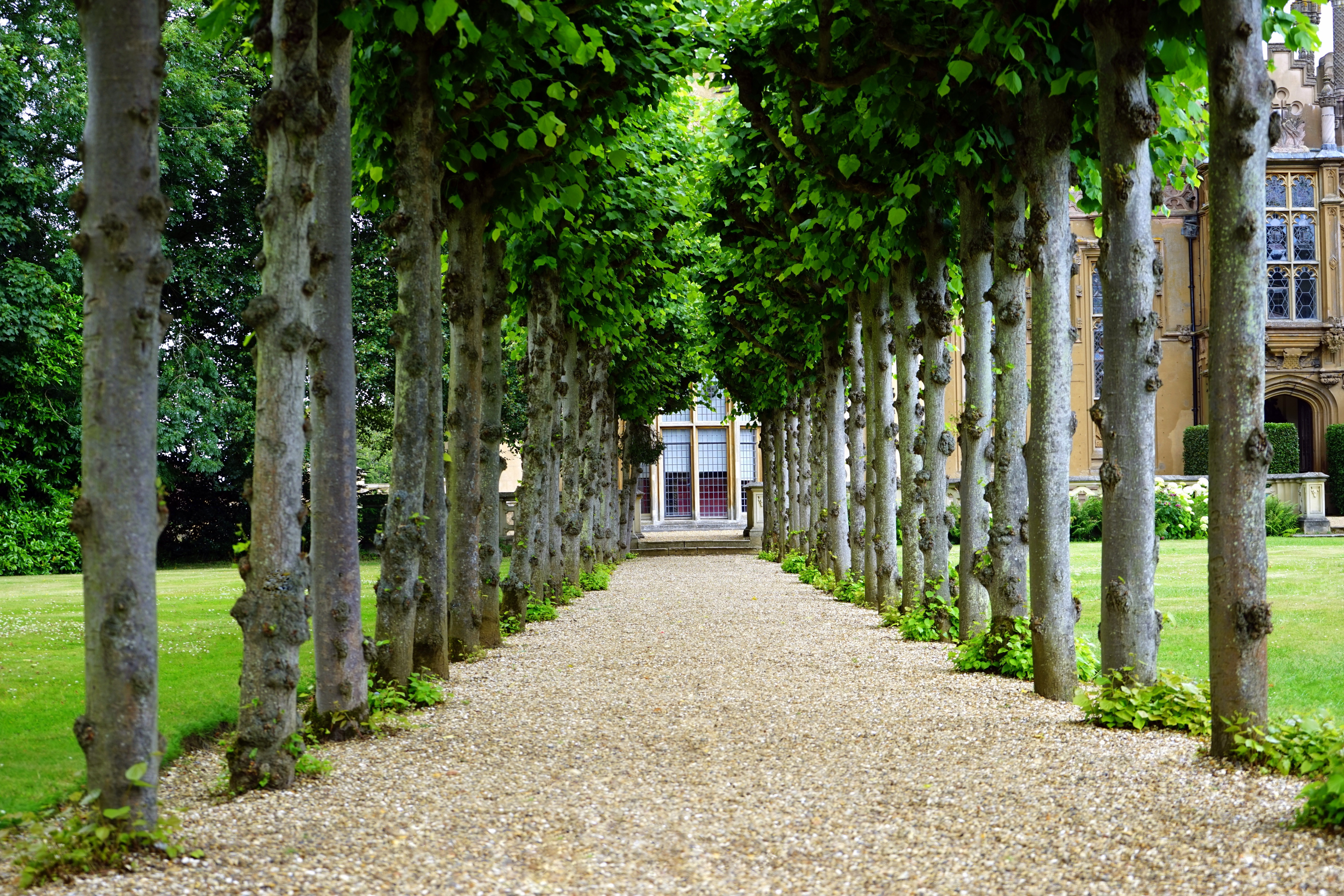 Quel portail en alu pour son jardin